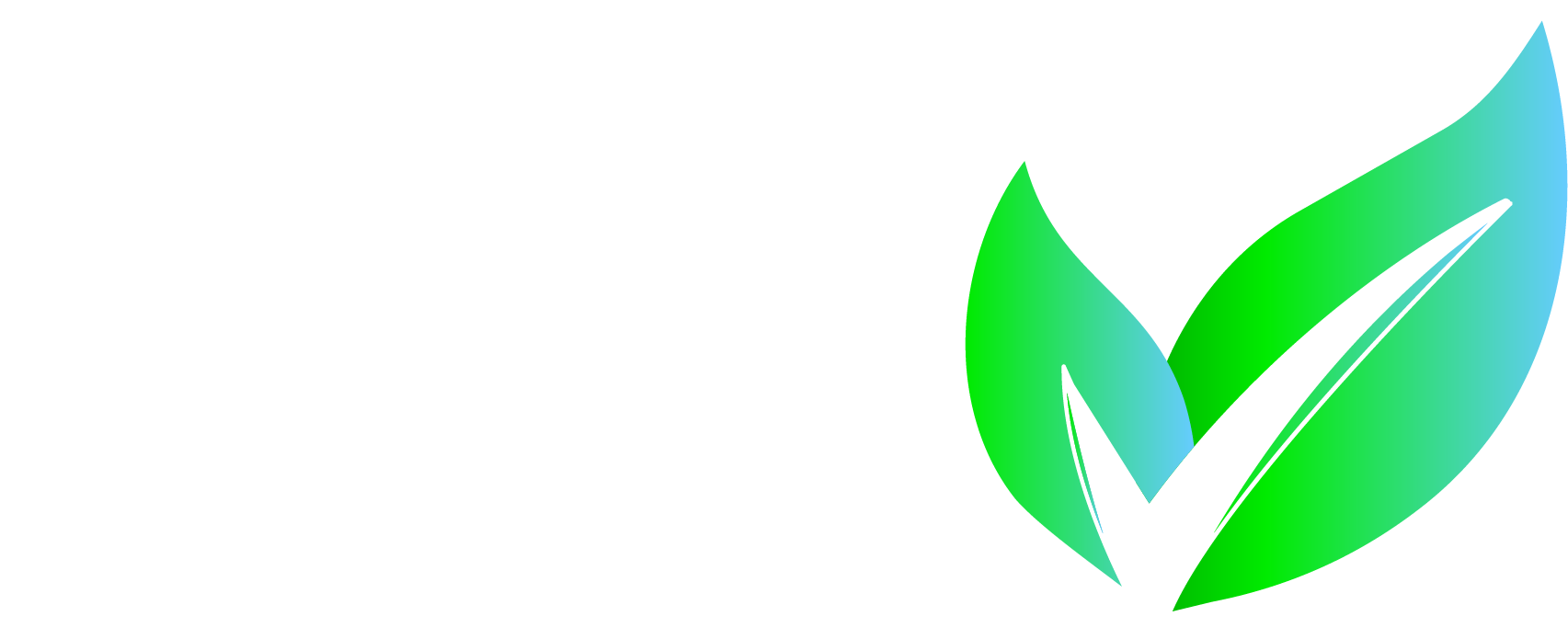 Verde Retail Logo